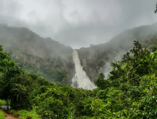 Cachoeira do Tamanduá