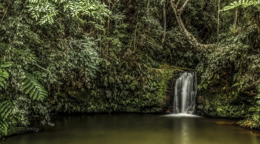 É seguro nadar em cachoeira? O que checar antes de entrar na água
