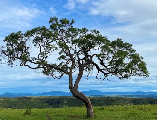 Cachoeira Serra Verde
