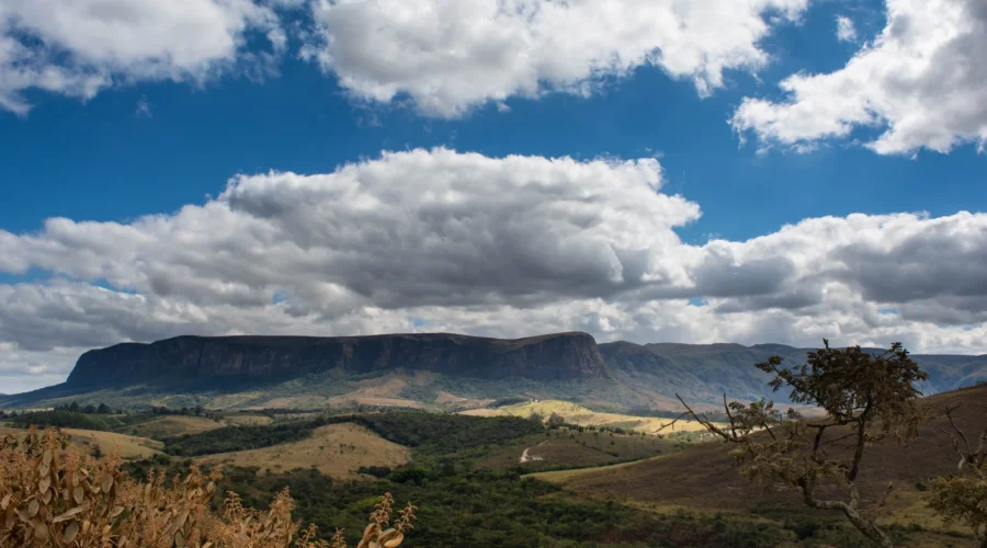 O que ver na Serra da Canastra além das cachoeiras: lobo-guará e a nascente do São Francisco